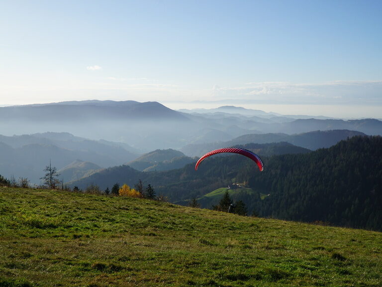 Eine Person mit einem Gleitschirm schwebt elegant über einen Hügel im mittleren Schwarzwald.