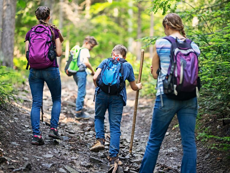 Eine Gruppe von Kindern beim Wandern im Wald bei einem Ausflug ins Grüne des mittleren Schwarzwaldes.